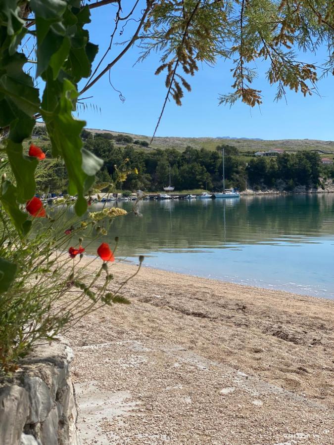 Villa Cvita Повляна Экстерьер фото