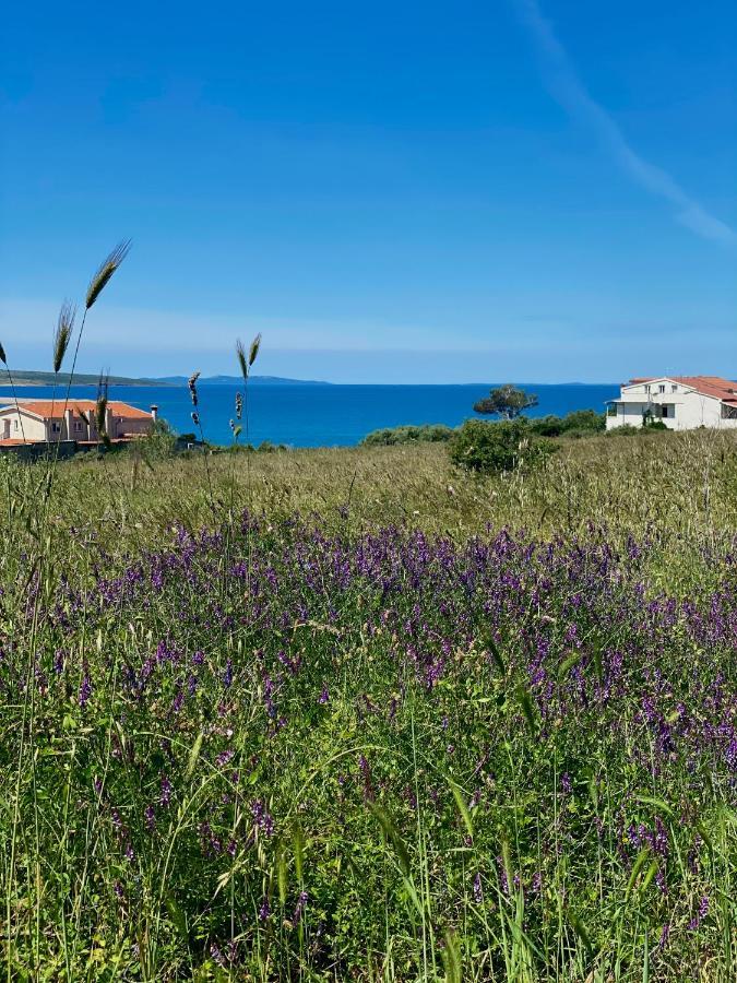 Villa Cvita Повляна Экстерьер фото