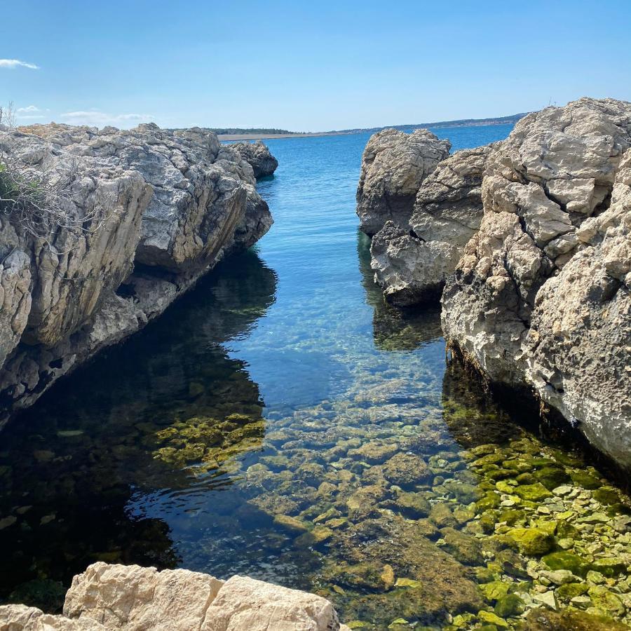 Villa Cvita Повляна Экстерьер фото
