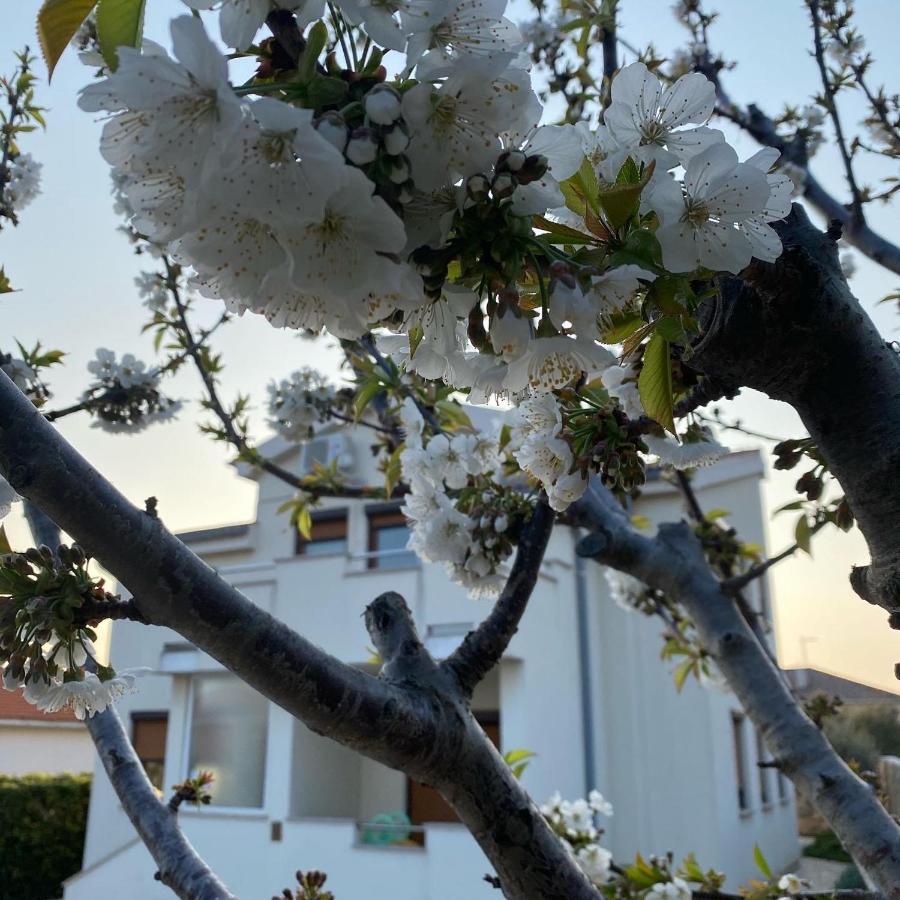 Villa Cvita Повляна Экстерьер фото