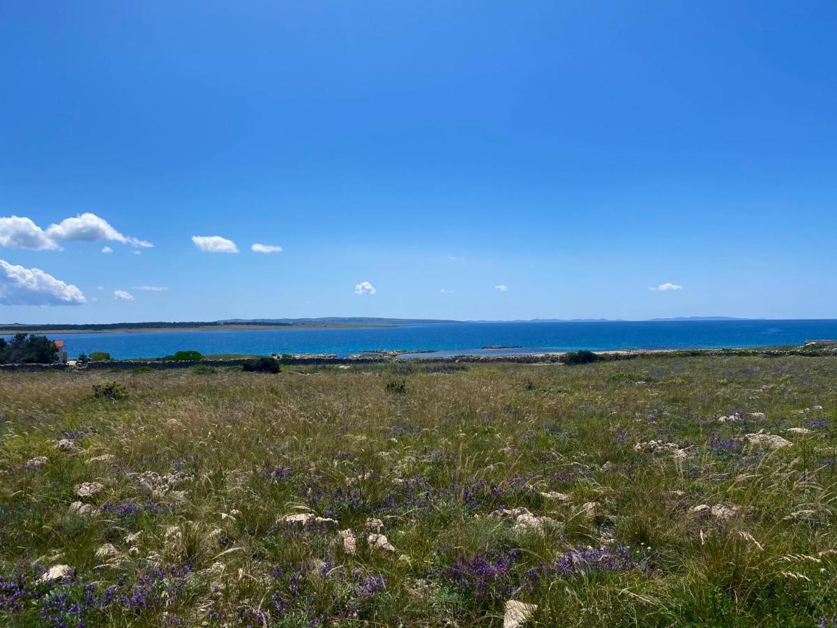 Villa Cvita Повляна Экстерьер фото
